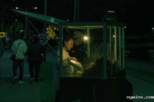 哪些安全软件能预防网络攻击？